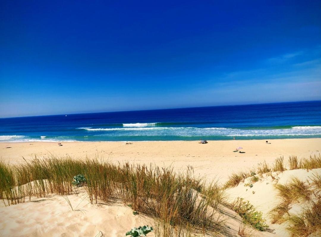 L'Ocean&Dunes Vue A 180° En Bord De Plage Lacanau Bagian luar foto