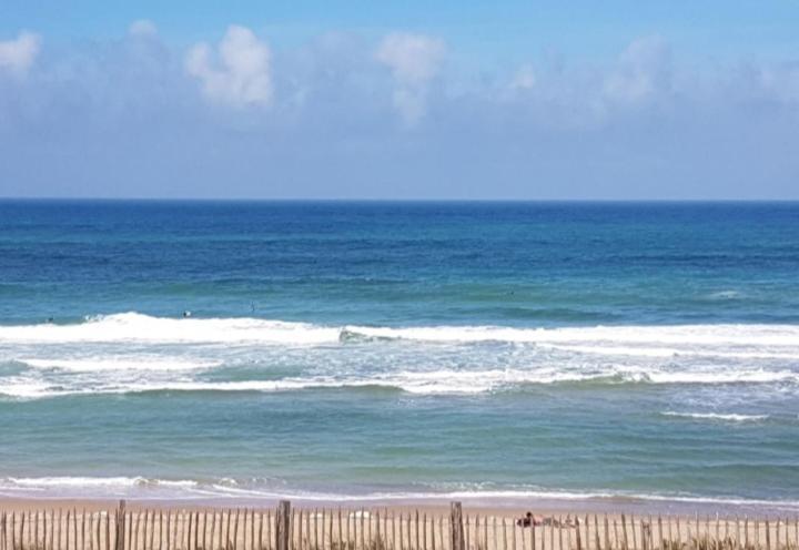 L'Ocean&Dunes Vue A 180° En Bord De Plage Lacanau Bagian luar foto