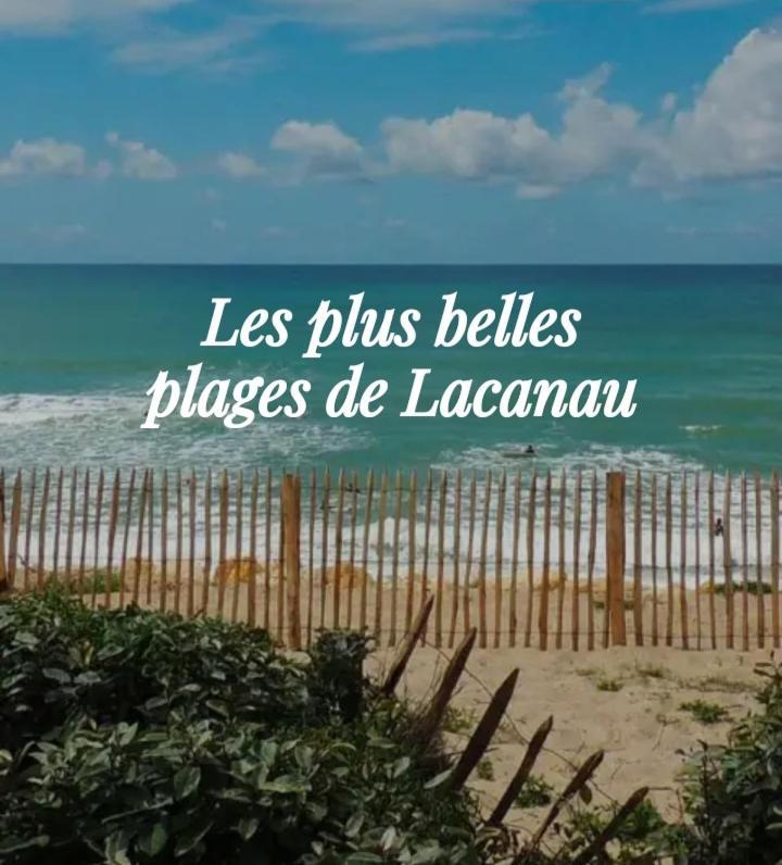 L'Ocean&Dunes Vue A 180° En Bord De Plage Lacanau Bagian luar foto